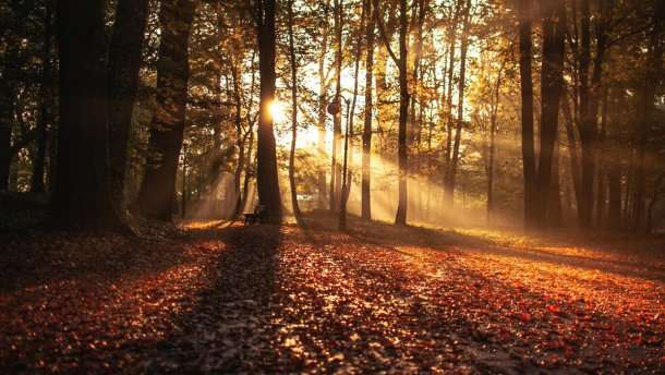 Прогноз погоди на 12 вересня