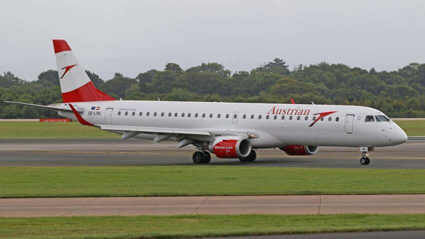 Складно уявити: бджола зупинила зліт літака зі 100 пасажирами