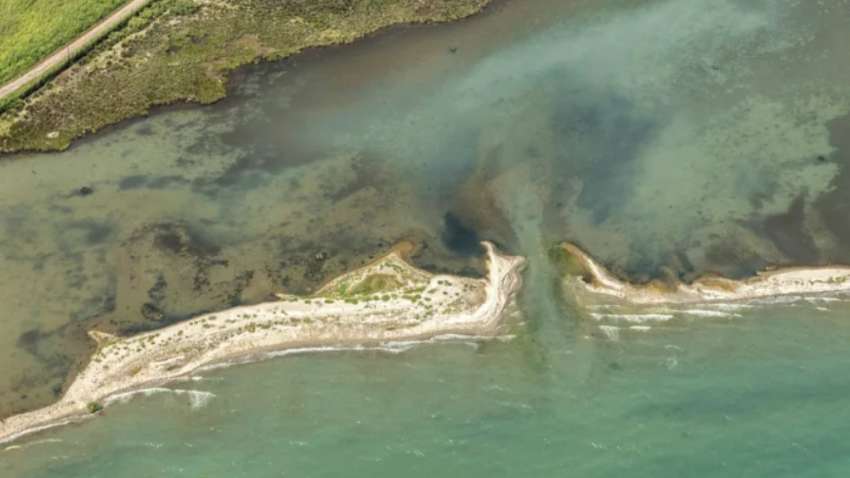 Зникли скумбрія, тунець, риба-меч: Мармурове море знаходиться на межі екологічної катастрофи Зникли скумбрія, тунець, риба-меч: Мармурове море знаходиться на межі екологічної катастрофи