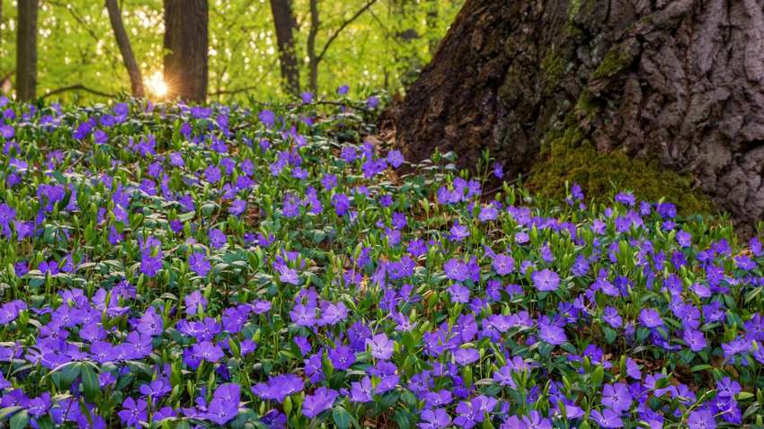 Праздник 15 апреля: что нельзя делать сегодня и какие народные приметы Праздник 15 апреля: что нельзя делать сегодня и какие народные приметы