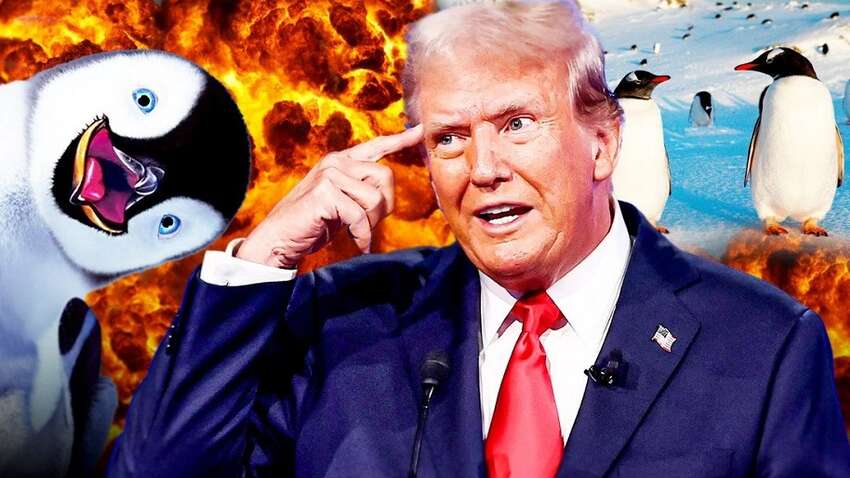 Названа настоящая странная причина введения Трампом пошлин на острова, где живут только пингвины 