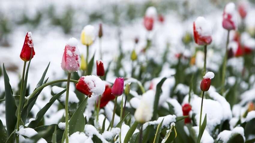 Зима возвращается: украинцев предупредили о существенном ухудшении погоды