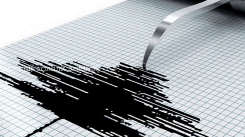 В Турции произошло землетрясение