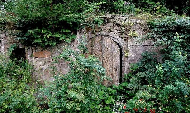 Чи видно жінку на фото: щоб її знайти потрібно уважно придивитись Чи видно жінку на фото: щоб її знайти потрібно уважно придивитись