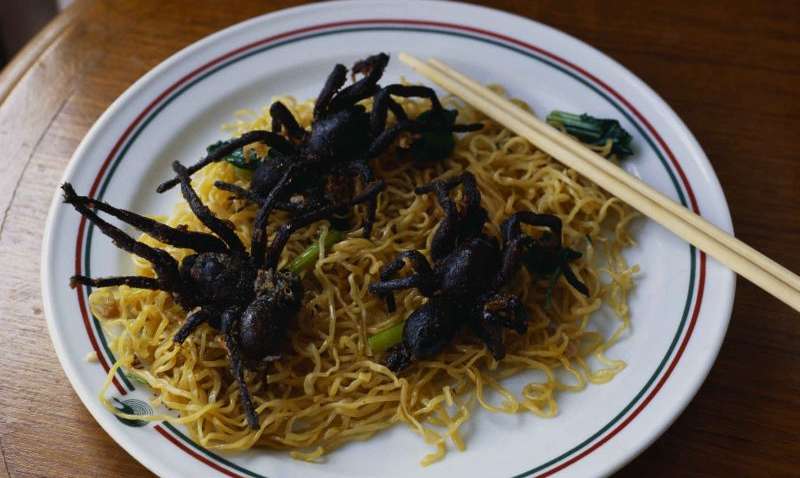 Не только противно, но и источник протеина и микроэлементов: каких насекомых можно есть