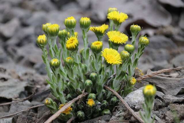Що можна і не можна робити 10 квітня: особливі прикмети