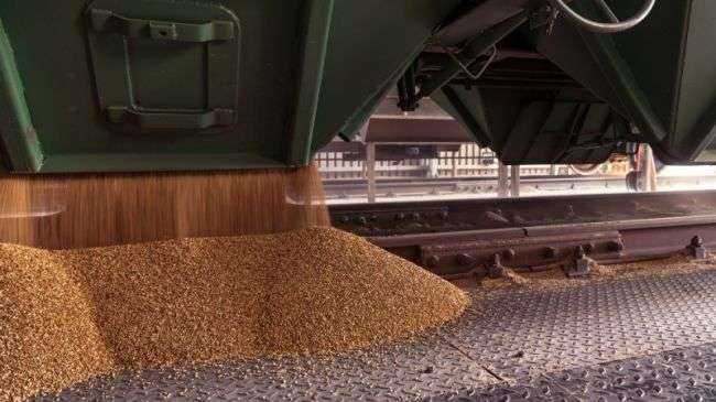 Польша не сильно обрадовалась решению Украины "поставить на паузу" жалобы в ВТО: есть условие Польша не сильно обрадовалась решению Украины "поставить на паузу" жалобы в ВТО: есть условие