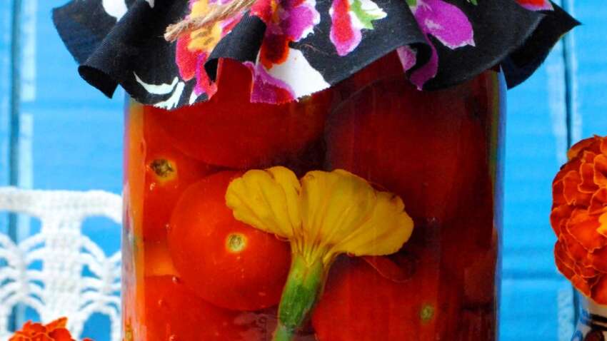 Мы десятилетиями это выбрасывали, а люди платят деньги: бархатцы оказались «золотом» для кухни и здоровья Мы десятилетиями это выбрасывали, а люди платят деньги: бархатцы оказались «золотом» для кухни и здоровья