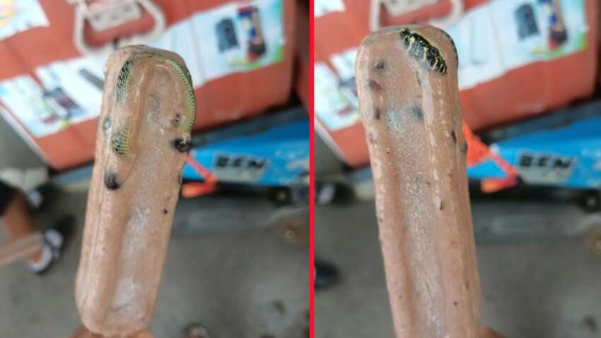 Чоловік купив морозиво і втратив дар мови, коли його відкрив: що там було