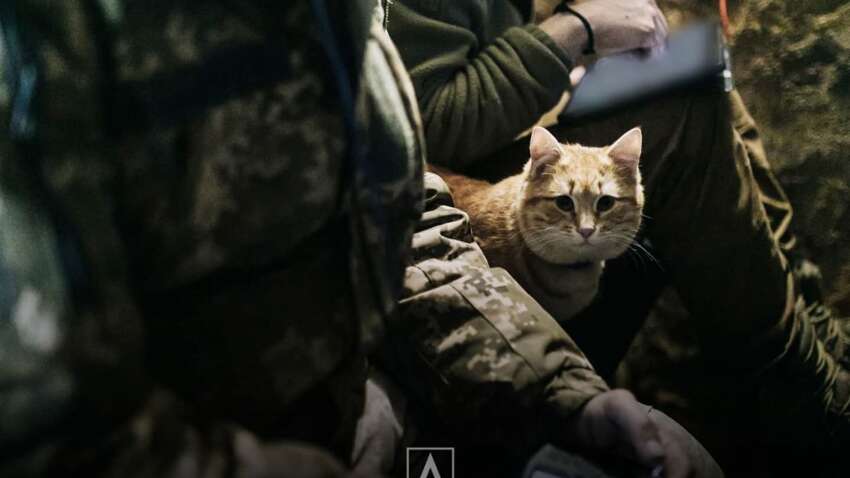 Кабинетные генералы против боевых командиров: жесткое заявление военного