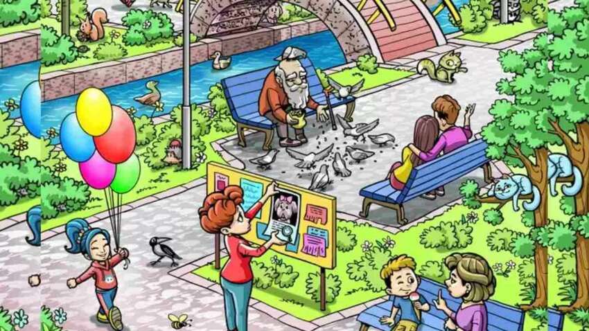 Тест: можете ли вы помочь женщине найти ее потерянного щенка за 15 секунд Тест: можете ли вы помочь женщине найти ее потерянного щенка за 15 секунд