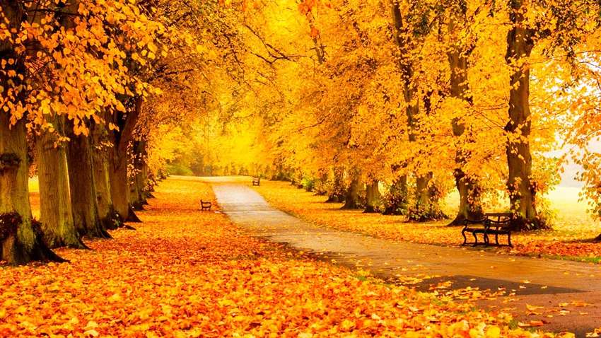 Три знака Зодиака, которым будет везти в первые дни осени Три знака Зодиака, которым будет везти в первые дни осени