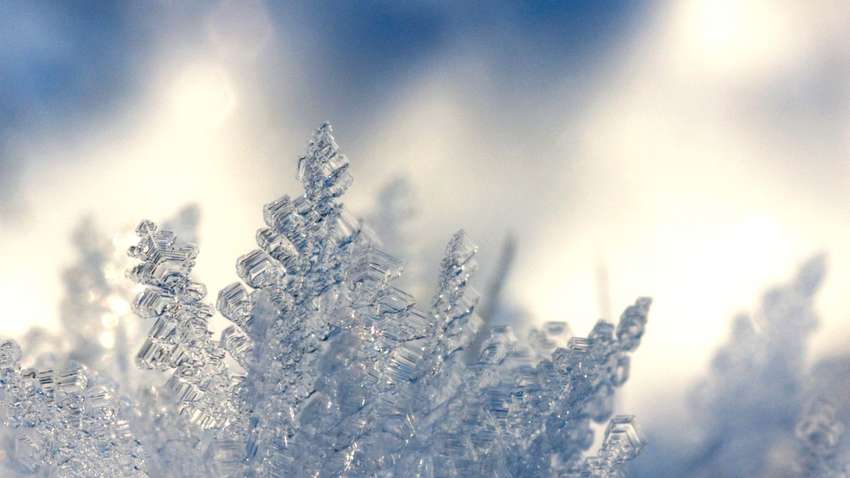 Морозы до -19 и мокрый снег: как в Украине изменится погода