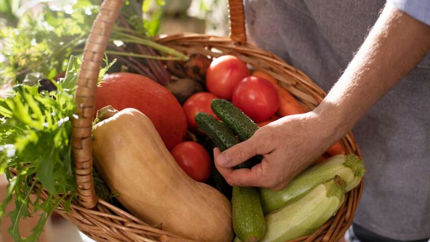 Эти простые советы точно помогут удвоить урожай: как восстановить почву перед посадкой Эти простые советы точно помогут удвоить урожай: как восстановить почву перед посадкой