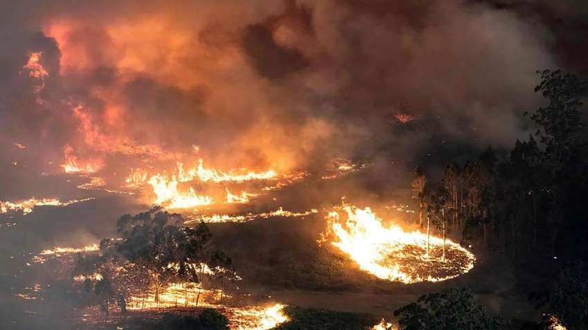 В інтернеті набирають популярність фейкові фото пожежі в Австралії