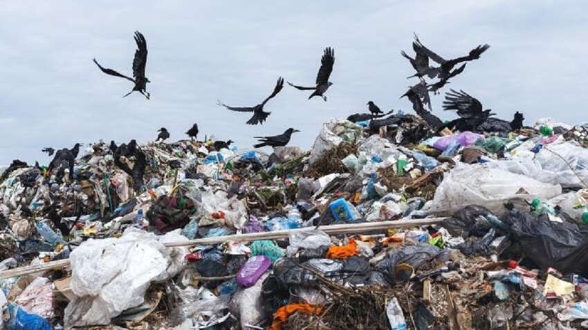 Росію накрив небачений колпас: влада відверто заявила про своє фіаско Росію накрив небачений колпас: влада відверто заявила про своє фіаско