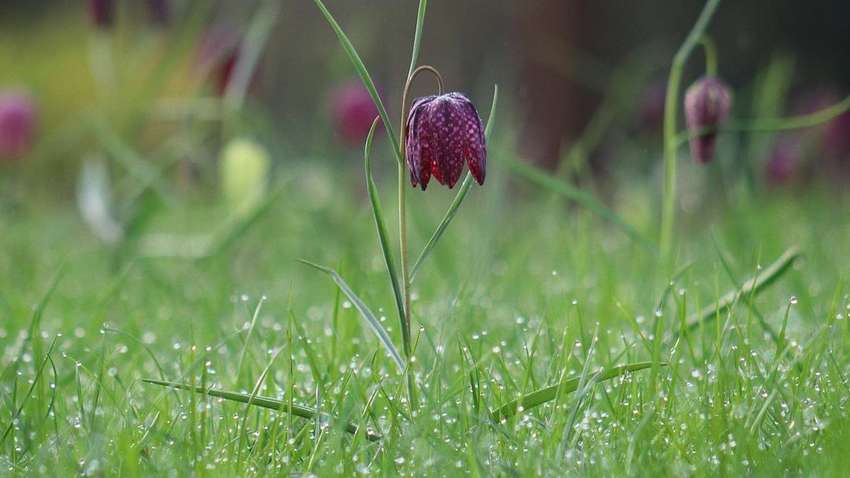 3 квітня в Україні: які свята відзначають 3 квітня в Україні: які свята відзначають