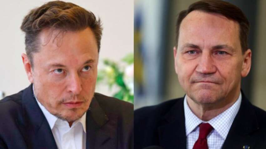 В ЕС послали Маска после его призывов ликвидировать Евросоюз В ЕС послали Маска после его призывов ликвидировать Евросоюз