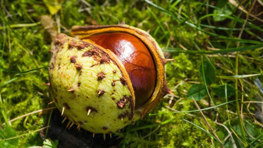 Какой церковный праздник 25 сентября: что нужно сделать, чтобы получить благословение святых Какой церковный праздник 25 сентября: что нужно сделать, чтобы получить благословение святых