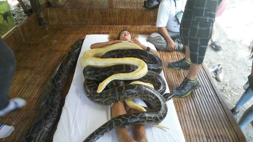 Как снять стресс: необычные методы, которыми пользуются в мире