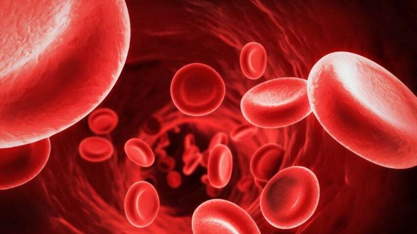 Рак крові зовсім поруч: названо симптоми хвороби, які ігнорує кожен 