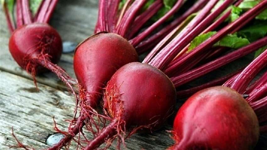 Как вырастить хороший урожай сочной свеклы: полезные советы 