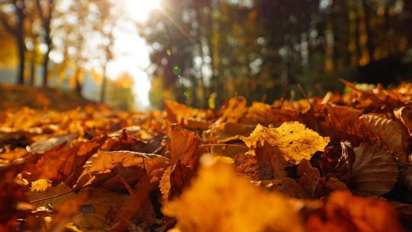 Какой церковный праздник 29 сентября: главные запреты дня