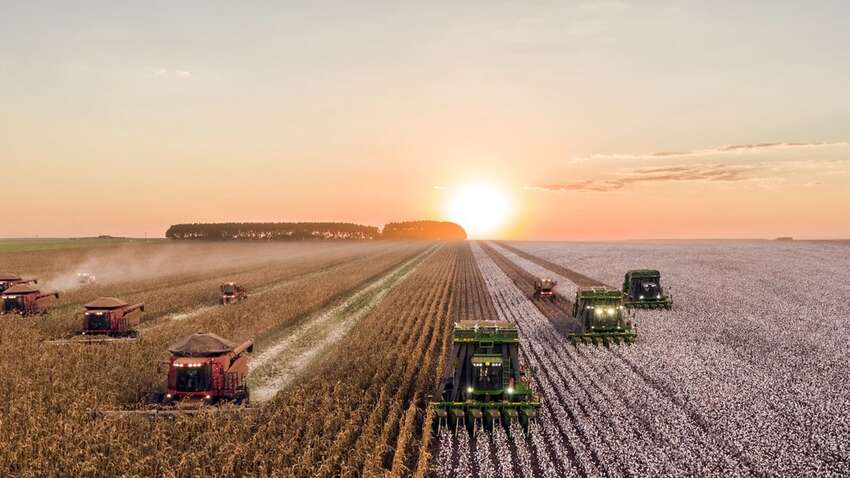 Половина украинских земель может потерять урожайность к 2050 году: какая причина