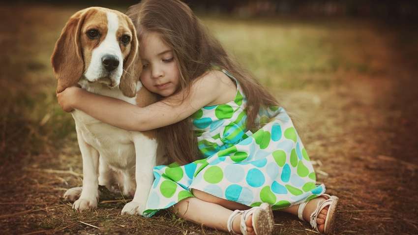 Які породи собак краще всього підходять для дітей
