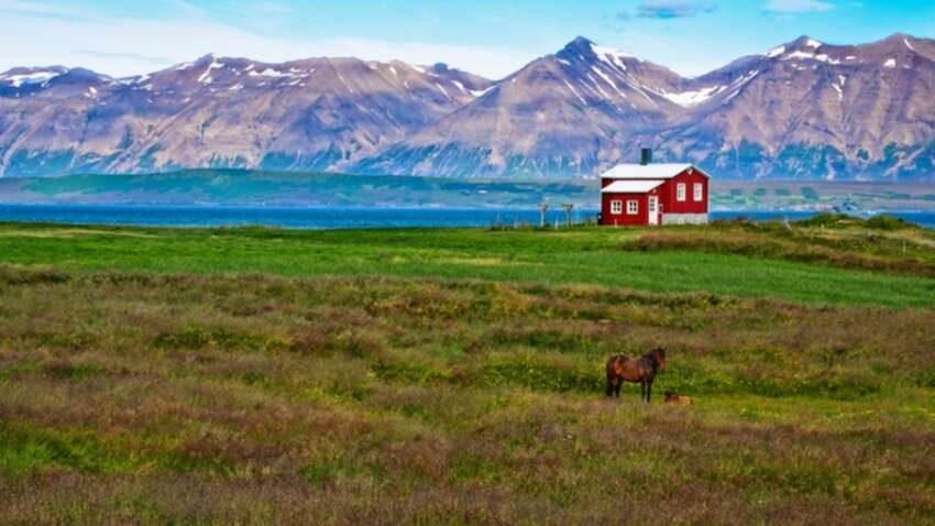 Де не буде Третьої світової: названо найбезпечніші країни в світі