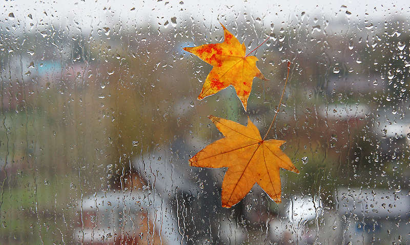 На выходных Украину накроют дожди, а с понедельника- снег