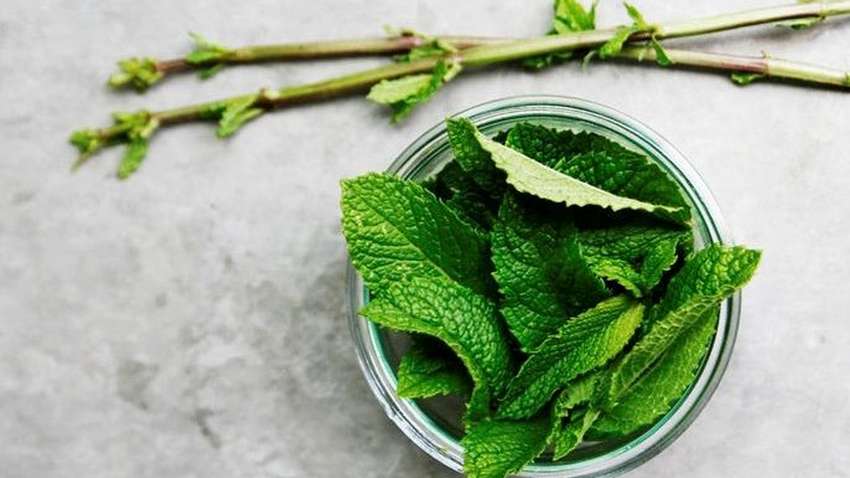 Какое натуральное средство помогает при вздутии живота