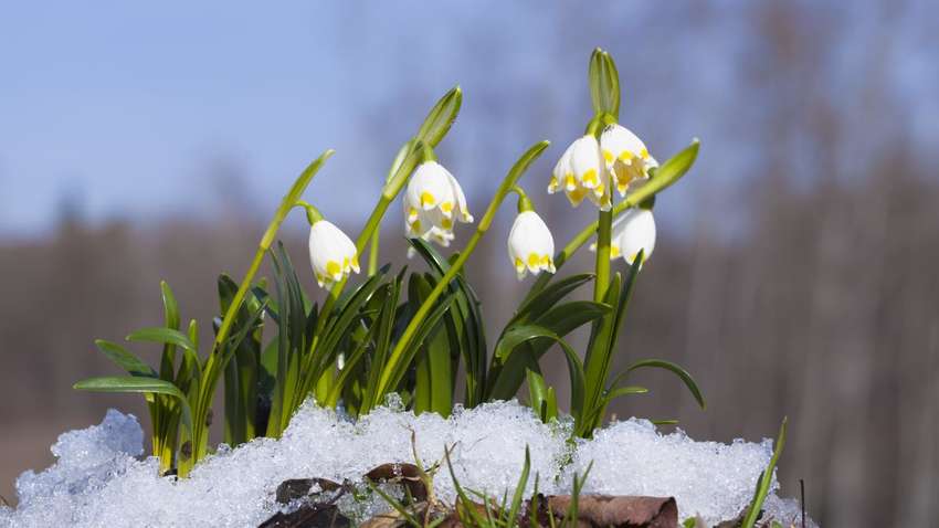 Когда в Украине ожидается похолодание — прогноз синоптика Когда в Украине ожидается похолодание — прогноз синоптика