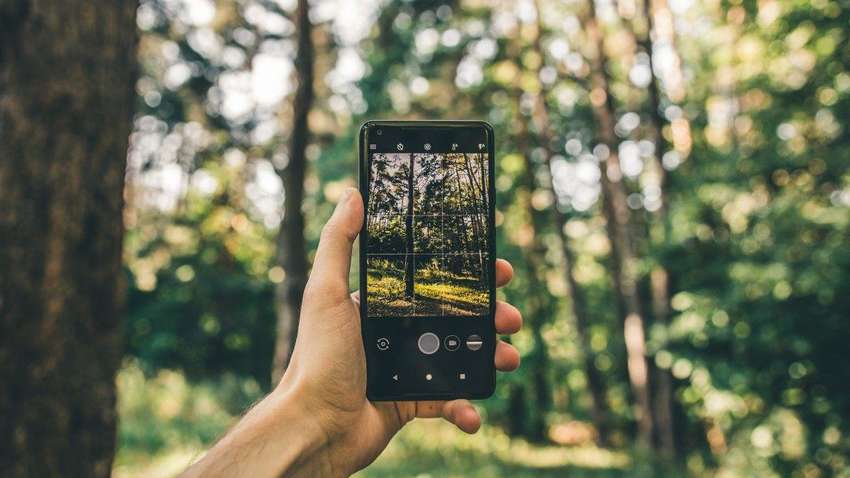 В Украине запустили проект «Лес в смартфоне»