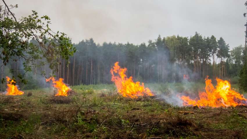 Французские фермеры разожгли "Огни гнева"