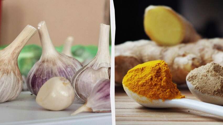 Часник чи імбир: розкрито справжню правду про їхній вплив на наше здоров'я Часник чи імбир: розкрито справжню правду про їхній вплив на наше здоров'я