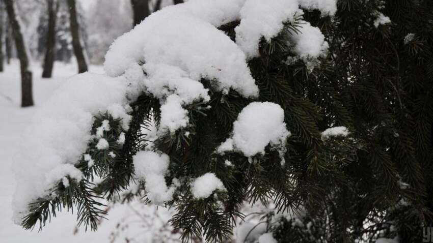 Яке церковне свято 16 січня: звичаї дня та головні заборони