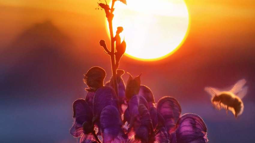 В Україну йде спека з субтропіків: синоптик розказв, де температура підскочить до +37° В Україну йде спека з субтропіків: синоптик розказв, де температура підскочить до +37°