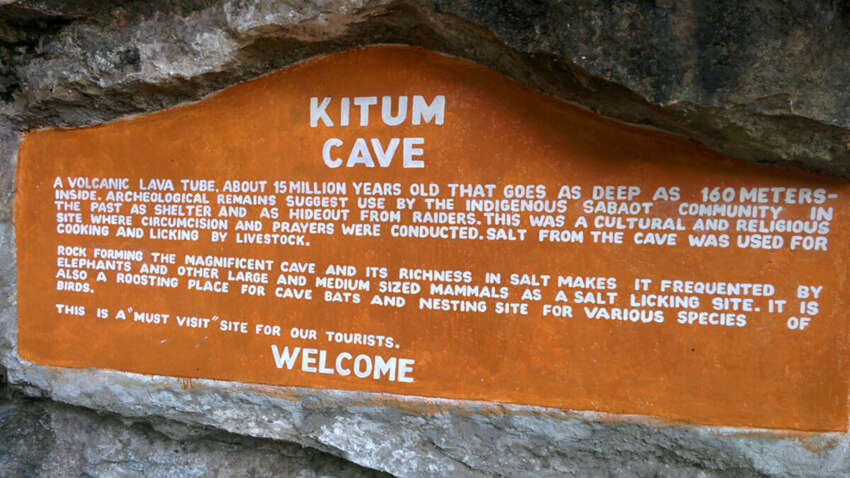 Ученые нашли пещеру, где обитает самый смертоносный для человека вирус