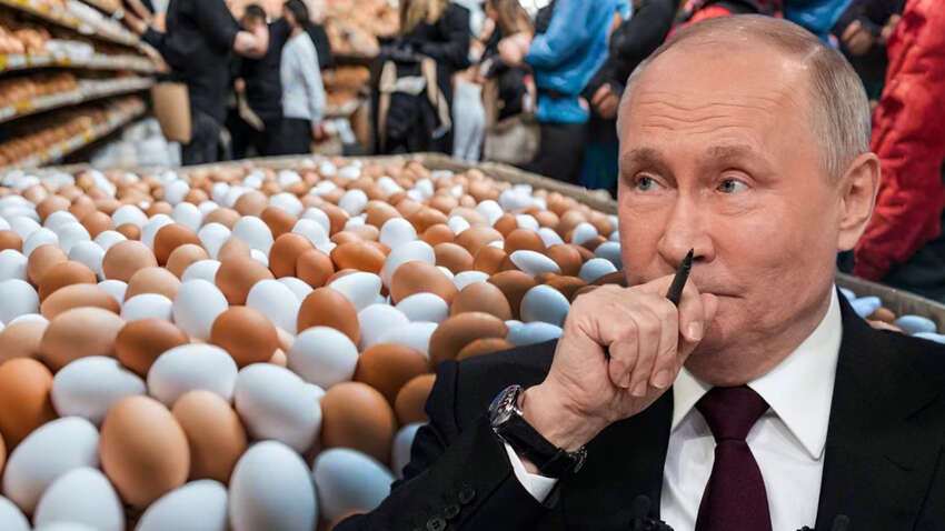 Росія заявляє, що поставляла яйця до США Росія заявляє, що поставляла яйця до США