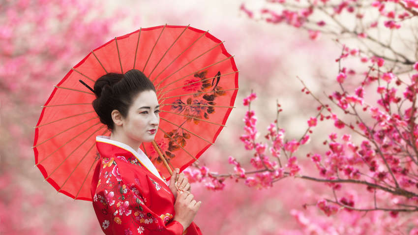 Японські гейші: як вони працюють і чому їх плутають із куртизанками