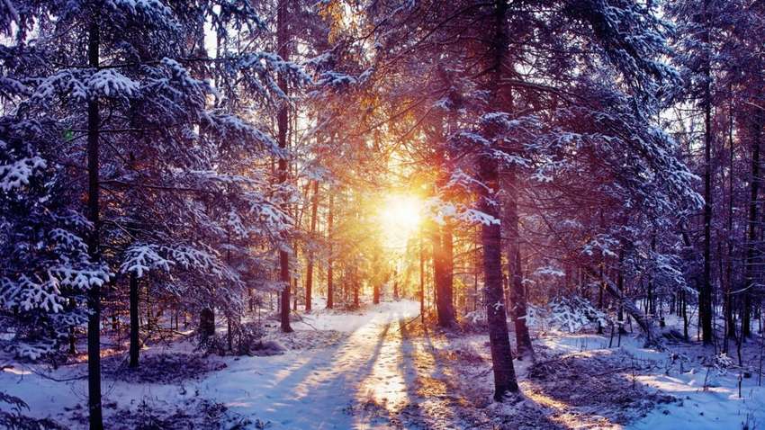 Синоптики снова удивили прогнозом погоды на январь в Украине