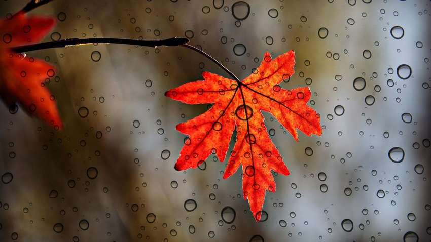 Какая погода будет 24 октября: синоптики предупреждают о заморозках Какая погода будет 24 октября: синоптики предупреждают о заморозках