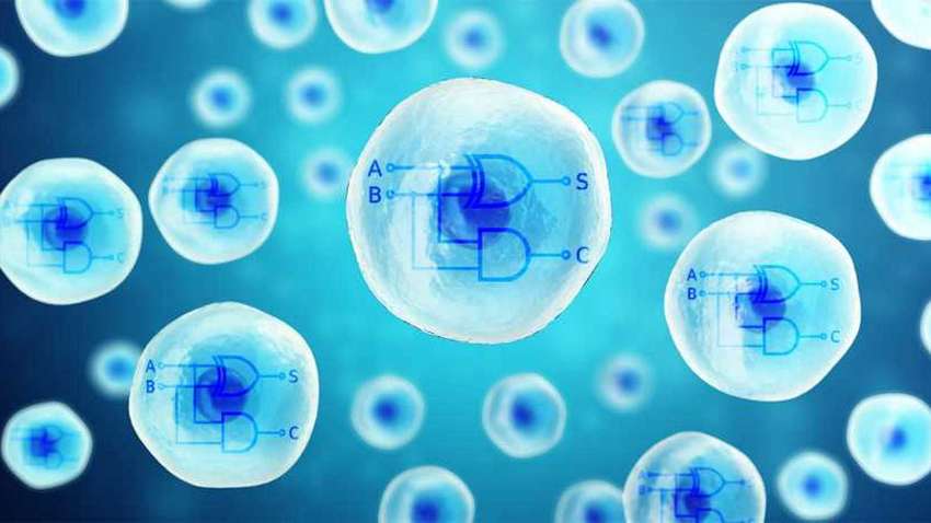 Вчені знайшли спосіб швидко зупинити застуду 