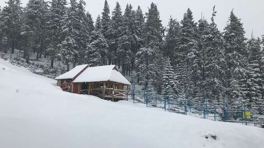 Зимний шторм в Карпатах: там объявили об оранжевом уровне опасности Зимний шторм в Карпатах: там объявили об оранжевом уровне опасности