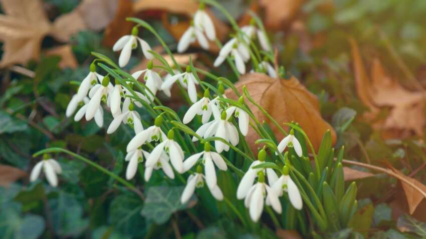 Церковне свято 18 березня: про що не можна розповідати цього дня