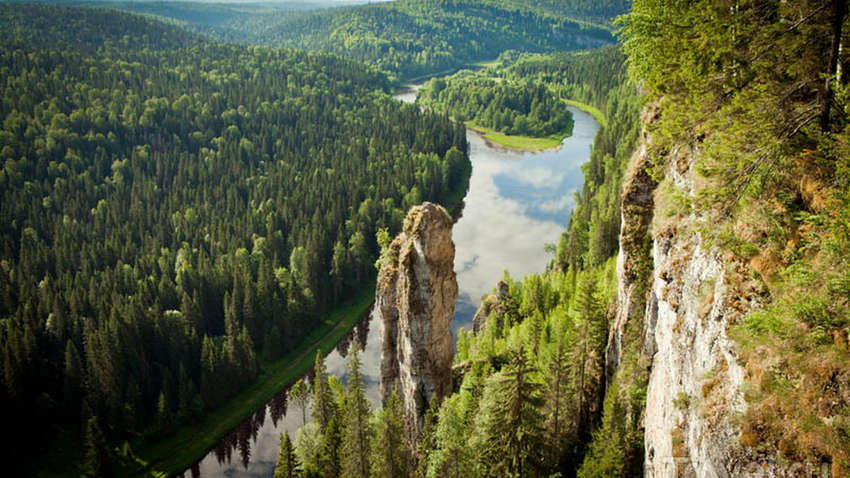Фотографії дикої природи 2021: хто став переможцем (ФОТО) Фотографії дикої природи 2021: хто став переможцем (ФОТО)