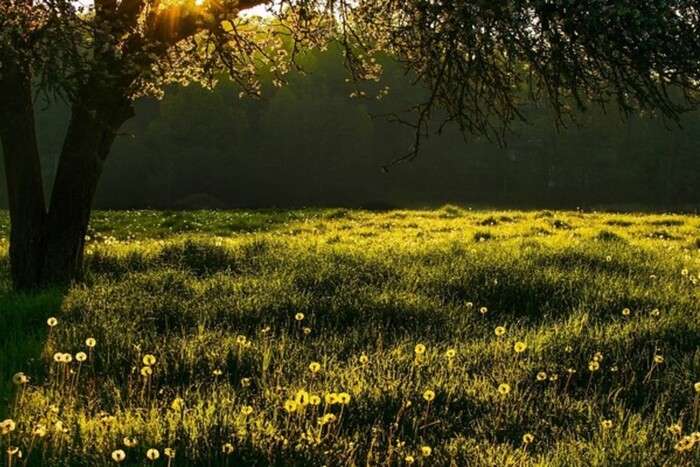 Какие праздники сегодня отмечают в разных странах мира Какие праздники сегодня отмечают в разных странах мира