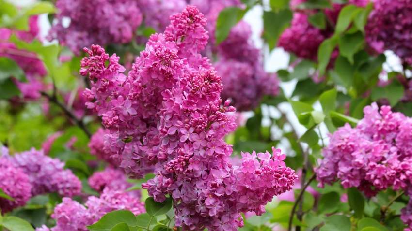 Вдарить +28 градусів: коли в Україну прийде сильне потепління