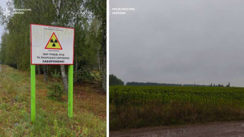 Сіяли на “мертвій землі” і продавали врожай: гучну справу з Чорнобильської зони передали до суду
